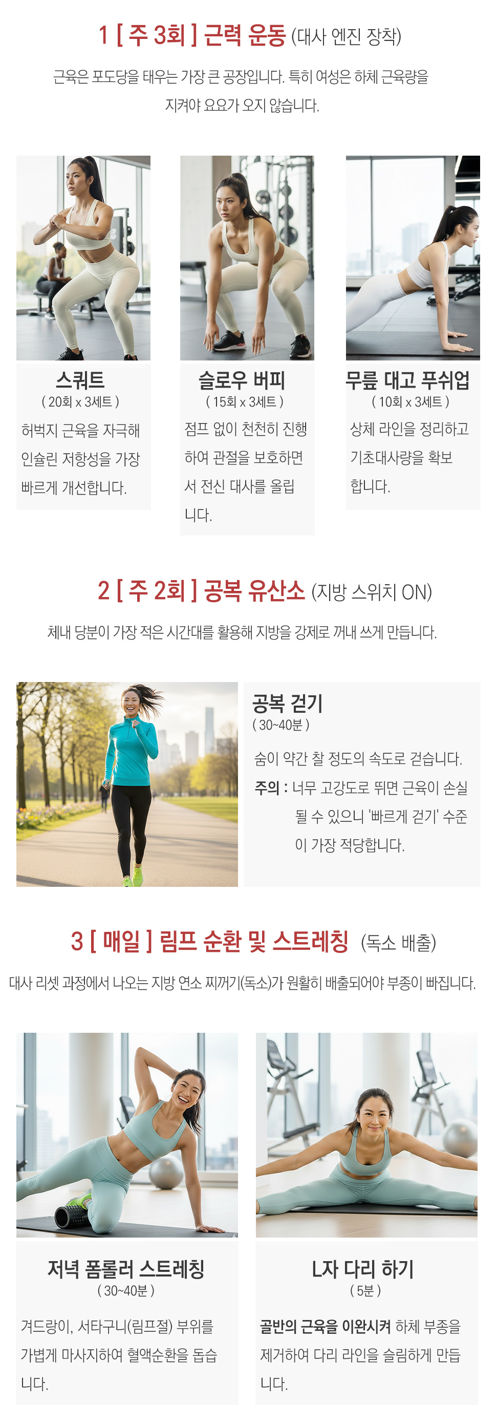 메타리셋운동2